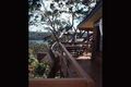 Property photo of 49 Loombah Street Bilgola Plateau NSW 2107