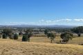Property photo of 383 Browns Lane Oxley Vale NSW 2340