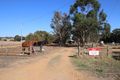 Property photo of 38 Kooringal Vale Dandaragan WA 6507
