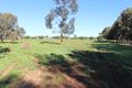 Property photo of 38 Kooringal Vale Dandaragan WA 6507