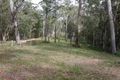 Property photo of 290 Ringtail Creek Road Ringtail Creek QLD 4565