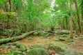 Property photo of 752 The Boulders Road Babinda QLD 4861