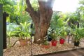 Property photo of 1/14 Philip Street Fannie Bay NT 0820