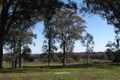 Property photo of 57 Old Stanley Road Beechworth VIC 3747