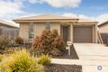 Property photo of 74 Hollows Circuit Macgregor ACT 2615