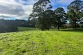 Property photo of 56 Smarts Road Mount Hicks TAS 7325