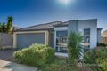 Property photo of 22 Hollyford Parade Butler WA 6036