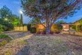 Property photo of 14 Pickering Street Monash ACT 2904