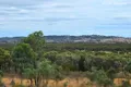 Property photo of 296 Gulf Road Emmaville NSW 2371