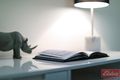 Property photo of 805/214-220 Coward Street Mascot NSW 2020