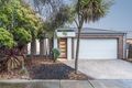 Property photo of 74 Hoddle Drive Leopold VIC 3224