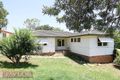 Property photo of 58 Tobruk Avenue Muswellbrook NSW 2333