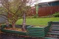 Property photo of 17 Cochrane Street Minto NSW 2566