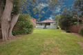 Property photo of 10 Jellicoe Street Concord NSW 2137
