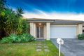 Property photo of 45 Bounty Street Springfield Lakes QLD 4300