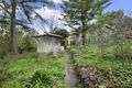 Property photo of 151 Green Street Ivanhoe VIC 3079