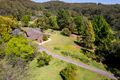 Property photo of 291 Tumbi Road Wamberal NSW 2260
