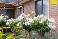 Property photo of 5 Gardner Court Albanvale VIC 3021