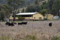 Property photo of 2139 Hill End Road Grattai NSW 2850