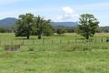 Property photo of 34 Kings Ridge King Creek NSW 2446