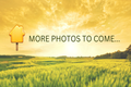 Property photo of 91 Avondale Road Sinnamon Park QLD 4073