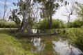 Property photo of 465 Main Neerim Road Drouin West VIC 3818