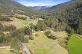Property photo of 1278 Pelverata Road Pelverata TAS 7150