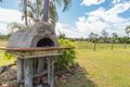 Property photo of 341 Reads Road Bucca QLD 4670