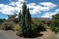 Property photo of 850 Greenwell Point Road Pyree NSW 2540