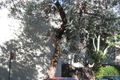 Property photo of 32 Jeffreys Street Kirribilli NSW 2061