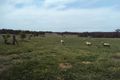 Property photo of 562 Jerrara Road Marulan NSW 2579