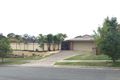 Property photo of 19 Pineview Drive Oxenford QLD 4210