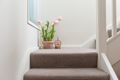 Property photo of 4/18 Tomaree Street Nelson Bay NSW 2315