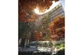 Property photo of 502/763 Toorak Road Hawthorn East VIC 3123