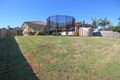 Property photo of 9 Renee Street Redbank Plains QLD 4301