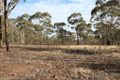 Property photo of 20 Smiths Road Bealiba VIC 3475