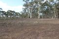 Property photo of 20 Smiths Road Bealiba VIC 3475