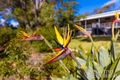 Property photo of 12 Brockman Street Guilderton WA 6041