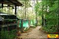 Property photo of 83 Ayers Rock Road Cypress Gardens QLD 4357