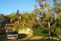 Property photo of 19 Wandarri Street Wurtulla QLD 4575