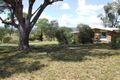 Property photo of 283 Tullamore Road Loomberah NSW 2340