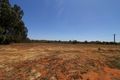 Property photo of 142 Gordon Road Barmera SA 5345