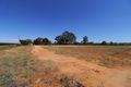 Property photo of 142 Gordon Road Barmera SA 5345