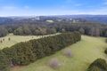 Property photo of 1255 Skenes Creek Road Tanybryn VIC 3249