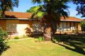 Property photo of 3 Cromwell Road Murray Bridge SA 5253