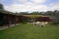Property photo of 3 Maxwell Road Campbells Creek VIC 3451