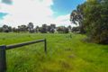 Property photo of 5897 Flinders Highway Coulta SA 5607