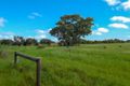 Property photo of 5897 Flinders Highway Coulta SA 5607
