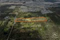 Property photo of 1 Lindenthal Road Park Ridge QLD 4125