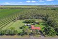 Property photo of 386 Clayton Road Alloway QLD 4670